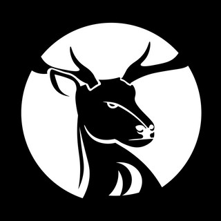 Writer: Stag Design Studios